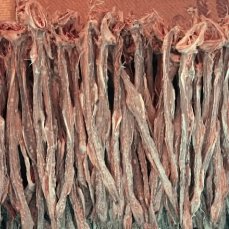 Dry Bombayduck