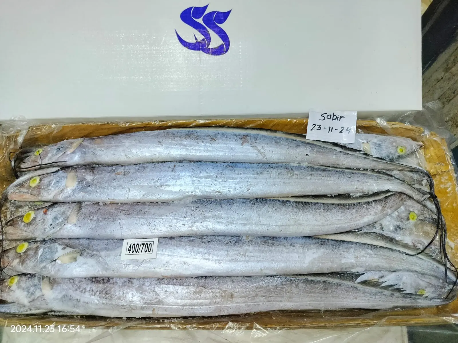 Frozen Ribbon Fish